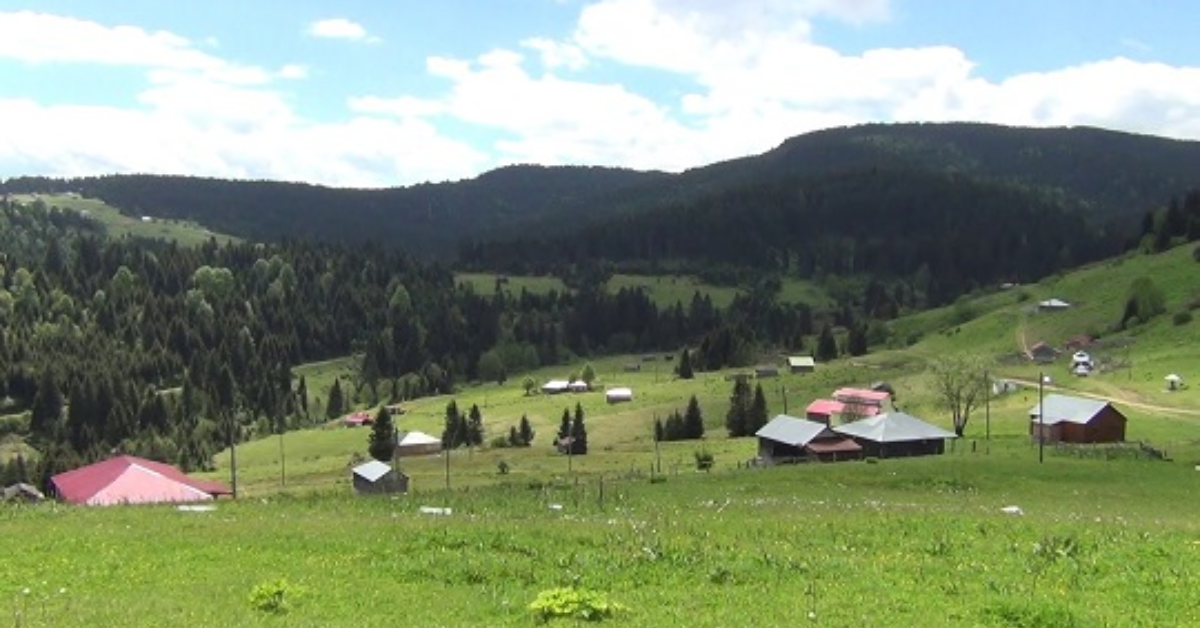 Şolma Yaylası
