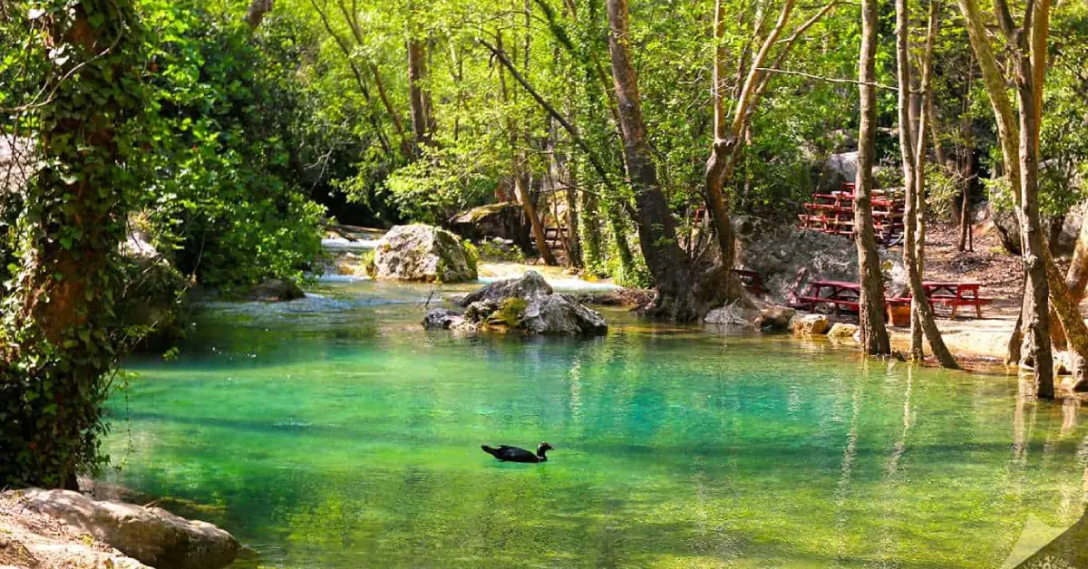 Kayacı Vadisi (Lamos Kanyonu) Kamp Alanı
