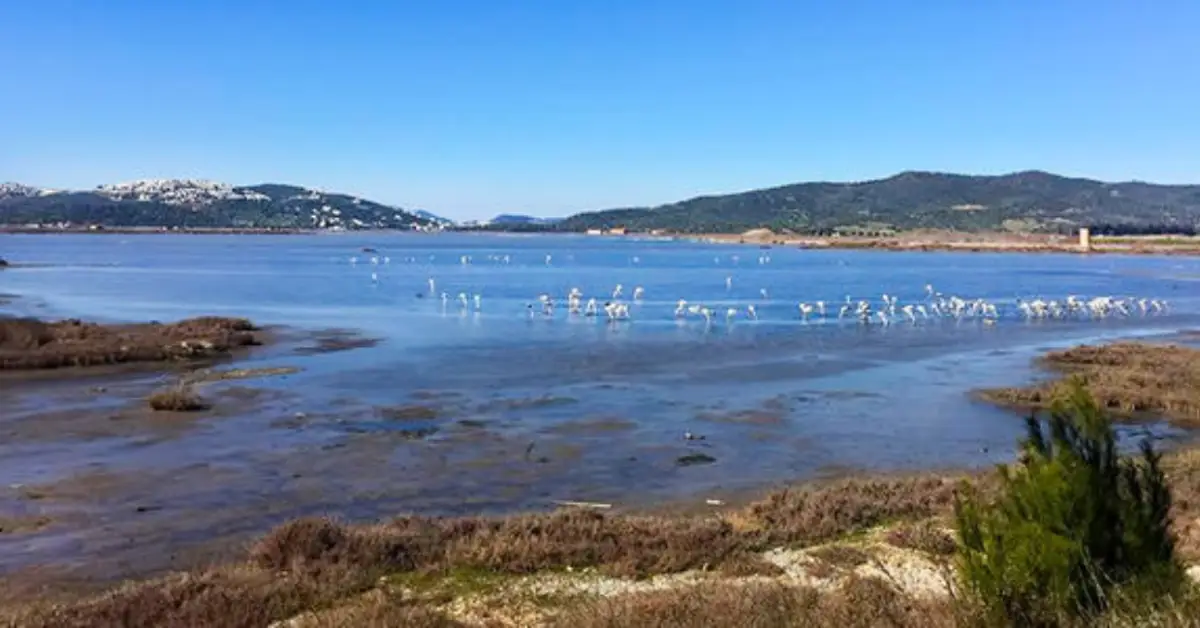 Tuzla Kuş Cenneti