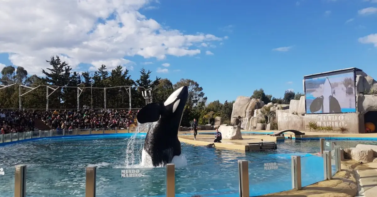 Waterland Mundo Marino