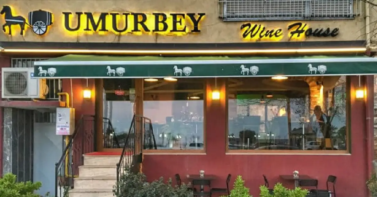umurbey winehouse