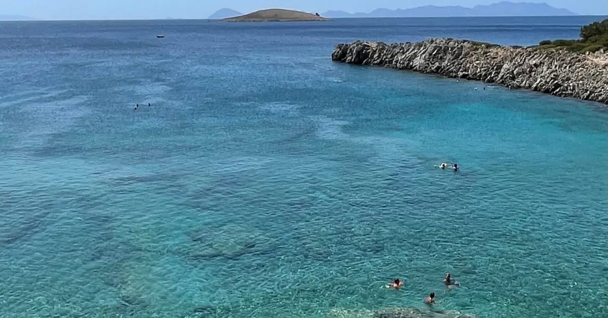 Akvaryum Koyu