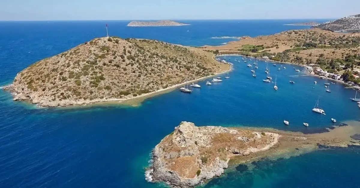 Tavşan Adası Koyları
