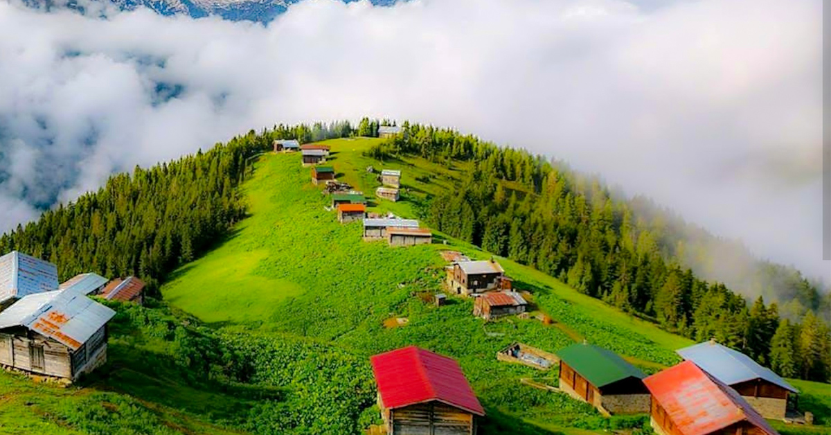 Trabzon'un Yaylaları: Doğu Karadeniz'in Yeşil Cennetleri