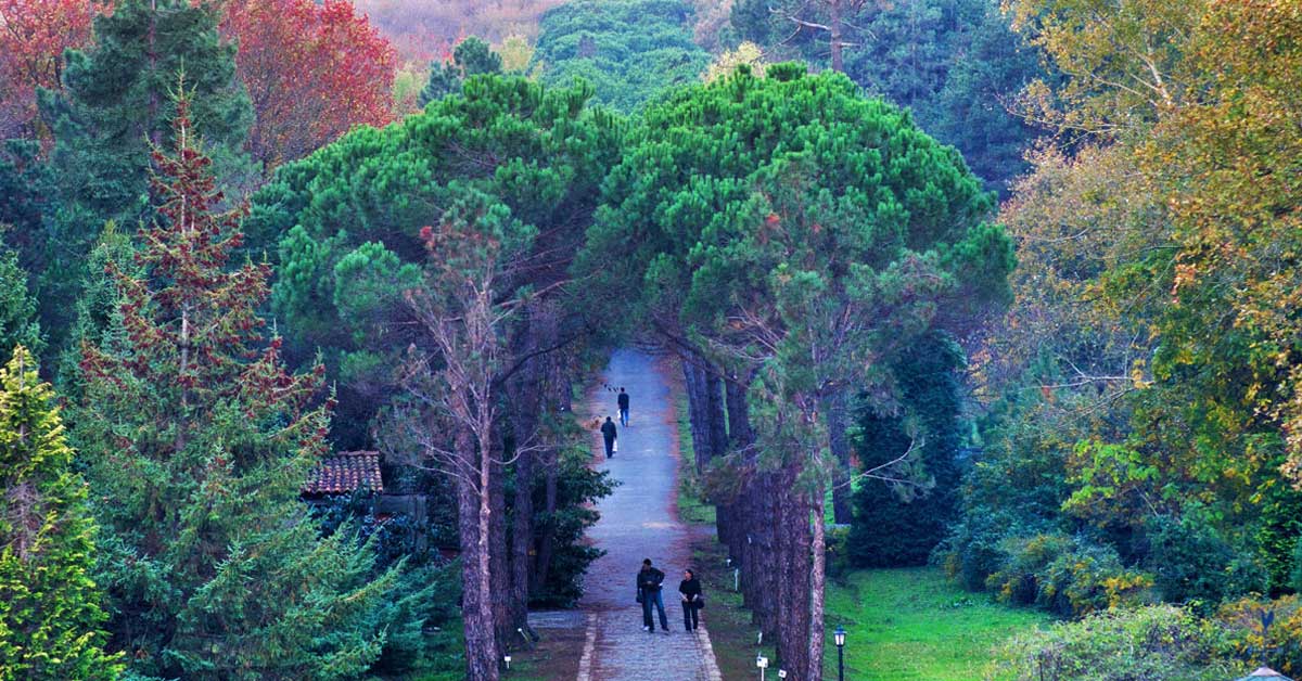 Atatürk Arboretumu'na Nasıl Gidilir? Gidelimmi.com
