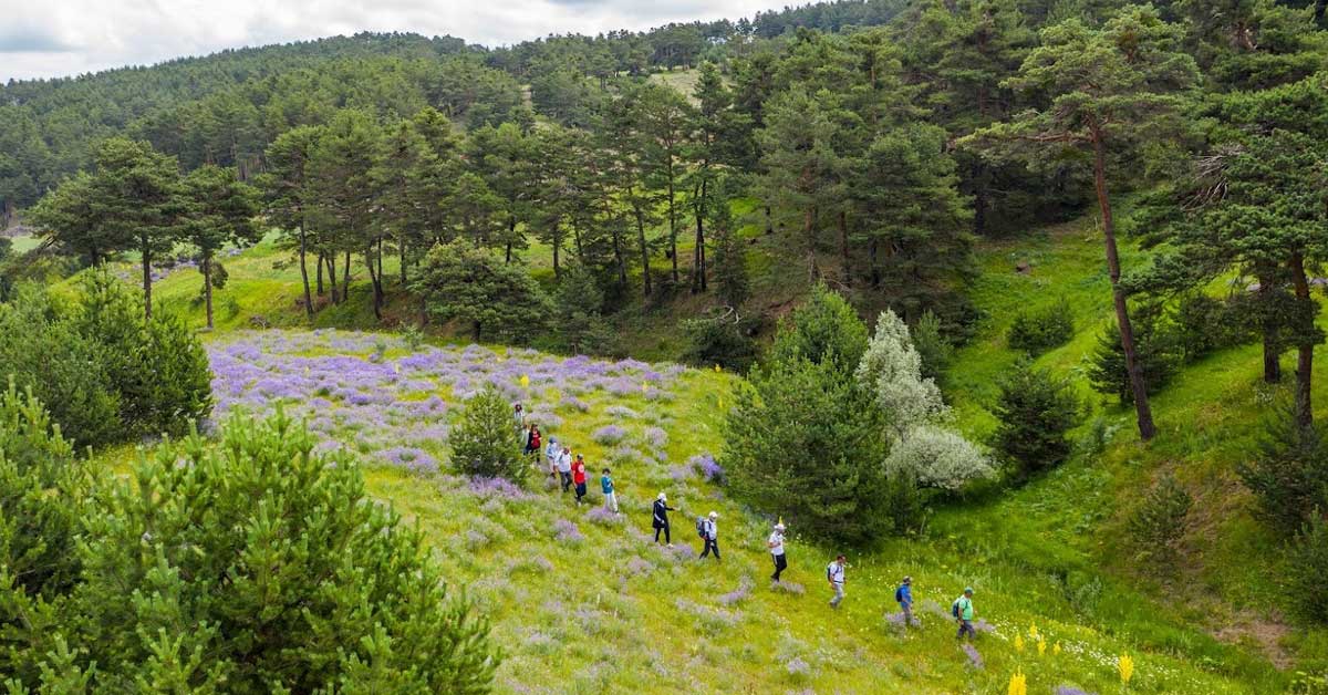 Macera Tutkunları için Sivas: Trekking, Dağcılık ve Doğa Sporları