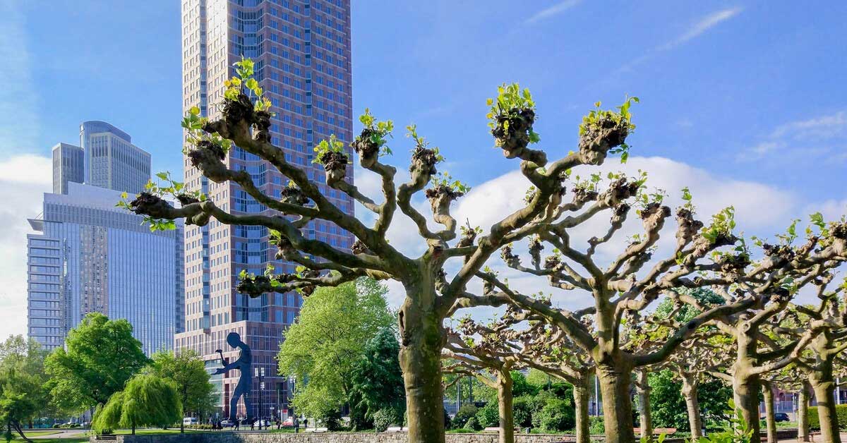 Yeşil Frankfurt: Parklar ve Doğal Alanlar