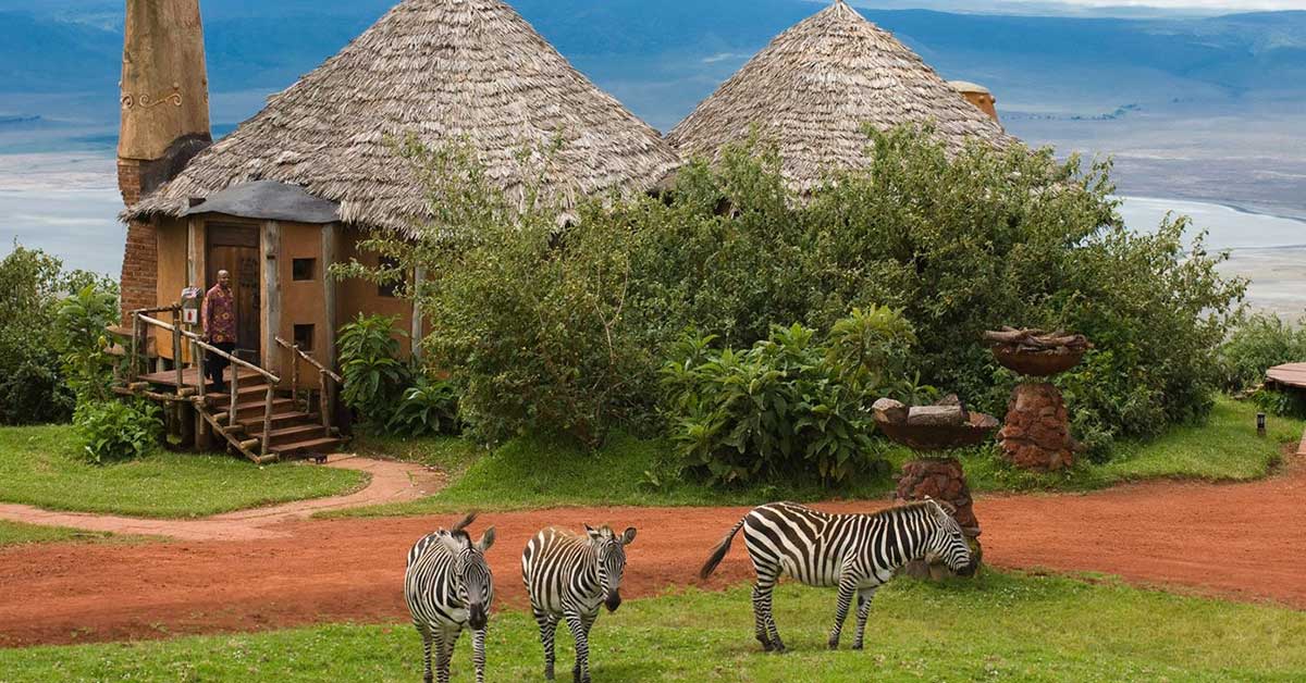Doğa Harikaları: Vizesiz Afrika Safari Deneyimi