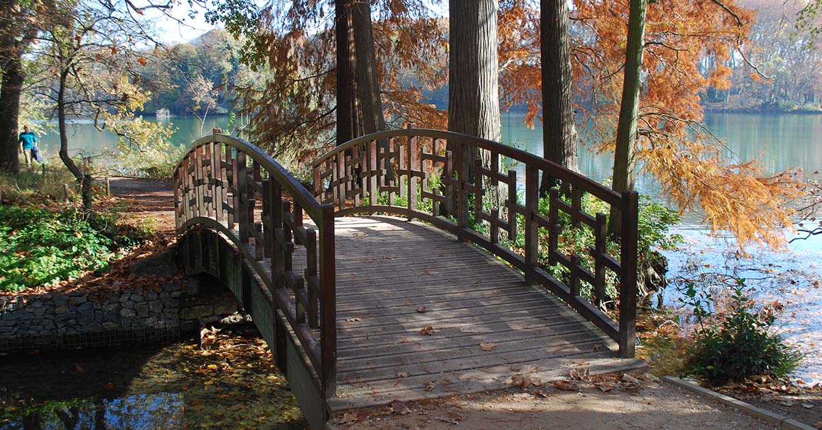 Altın Kafa Parkı