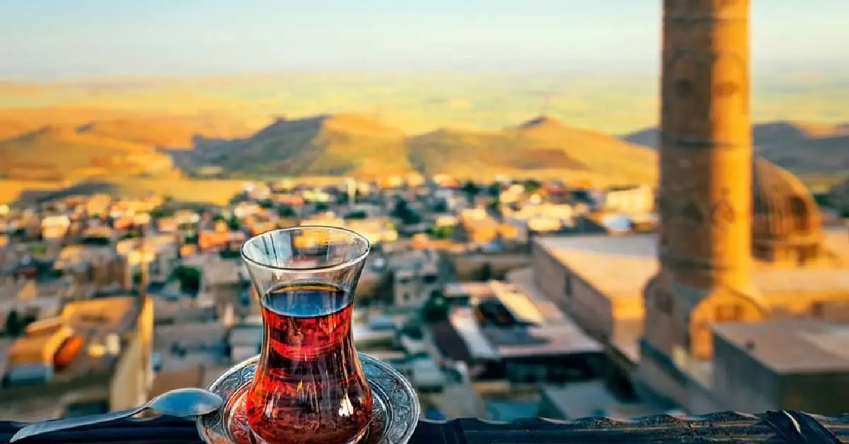 mezapotamya çay bahçesi