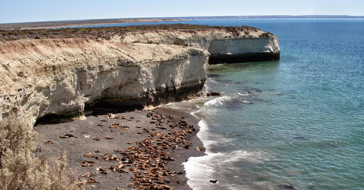 Peninsula Valdes