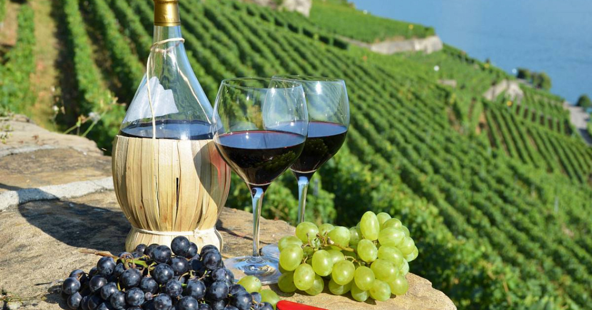Vino Dessera Bağları 