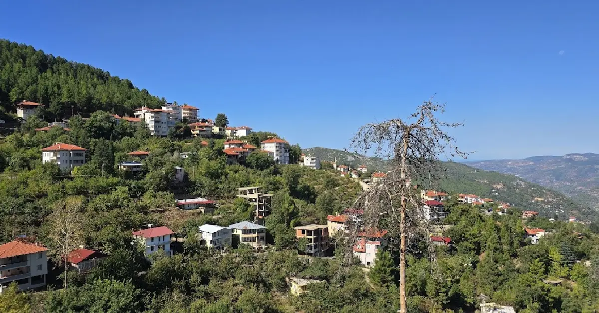 Gevedet Yaylası