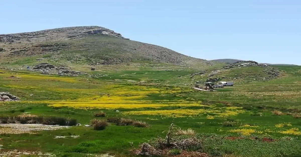 Malatya Sarıçiçek Yaylası
