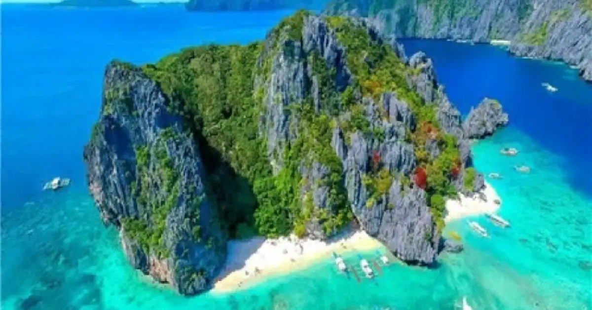 Palawan Adası