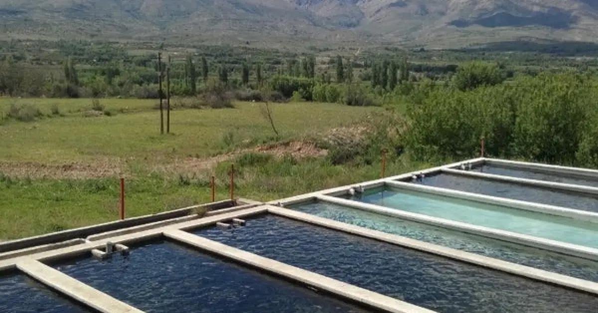Polat Beypınarı