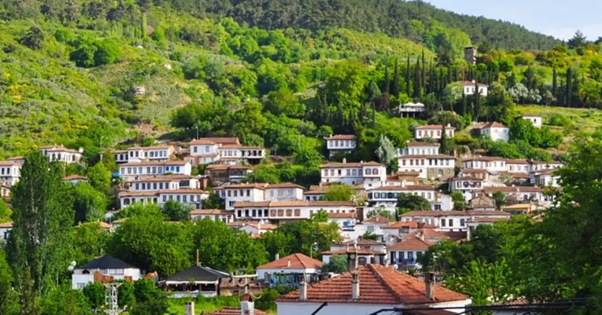 Şirince
