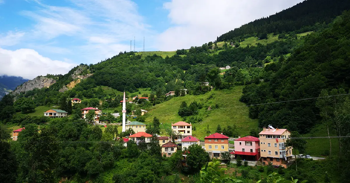 Hamsiköy