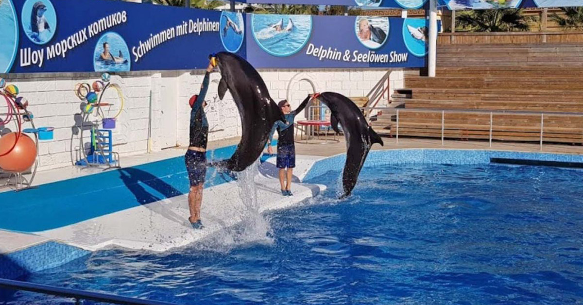 Aksu Dolphinarium