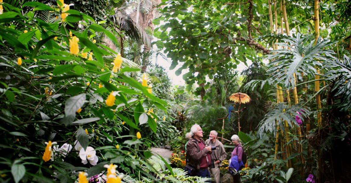 Bloedel Cicek Konservatuvari