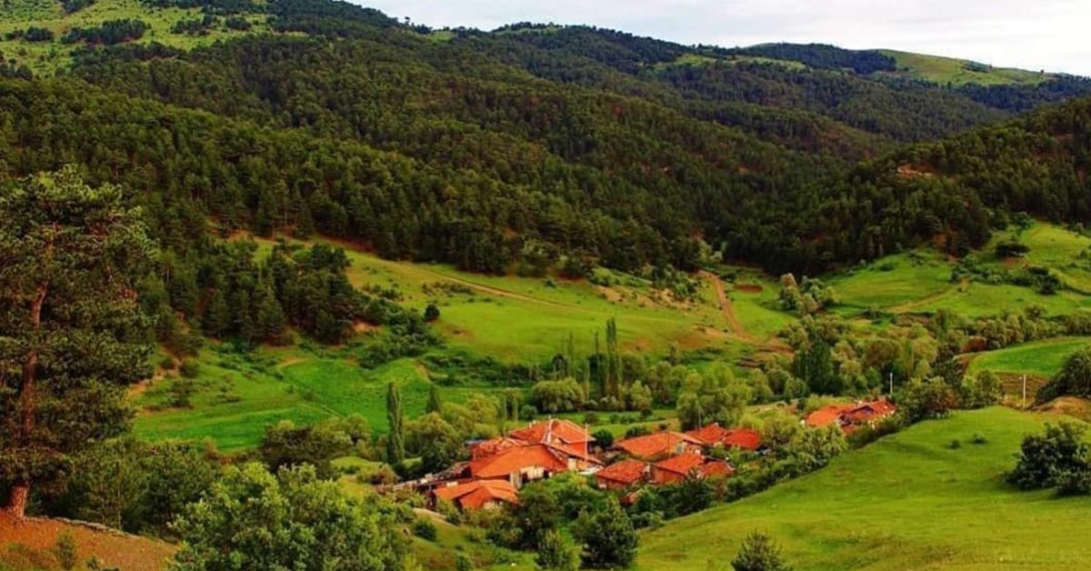 Kargi Yaylasi