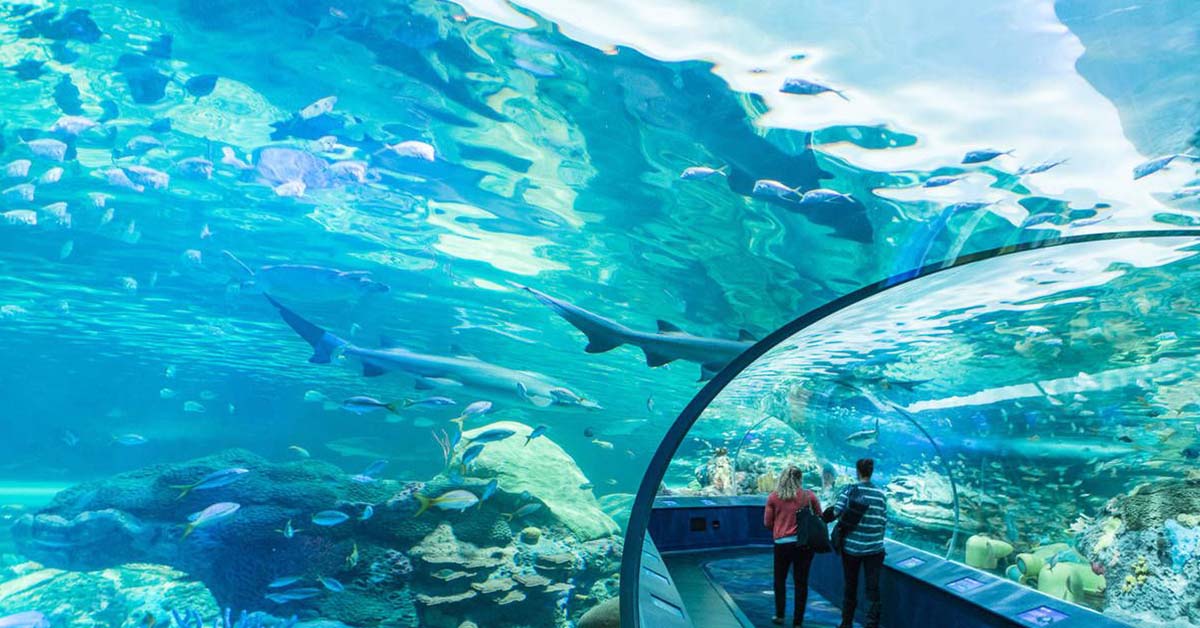 Ripley’s Aquarium of Canada