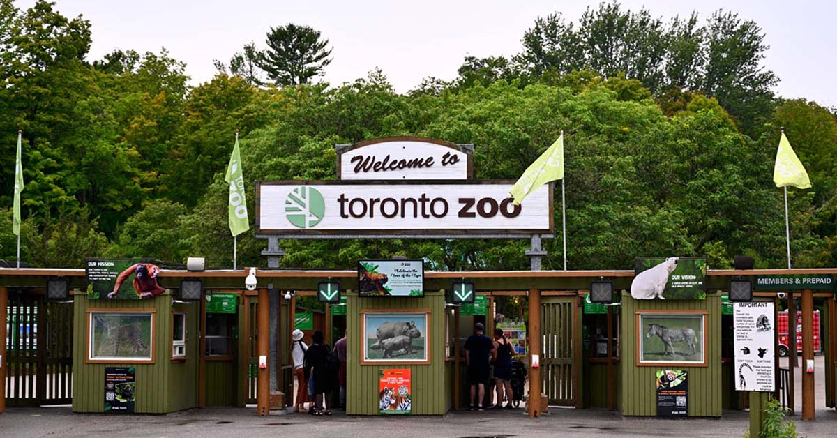 Toronto Zoo