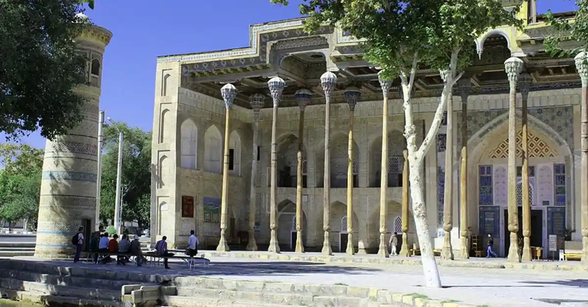 bolo hauz cami