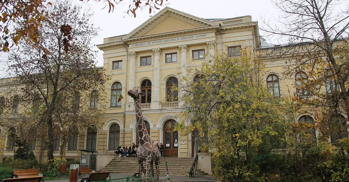 grigore antipa national museum