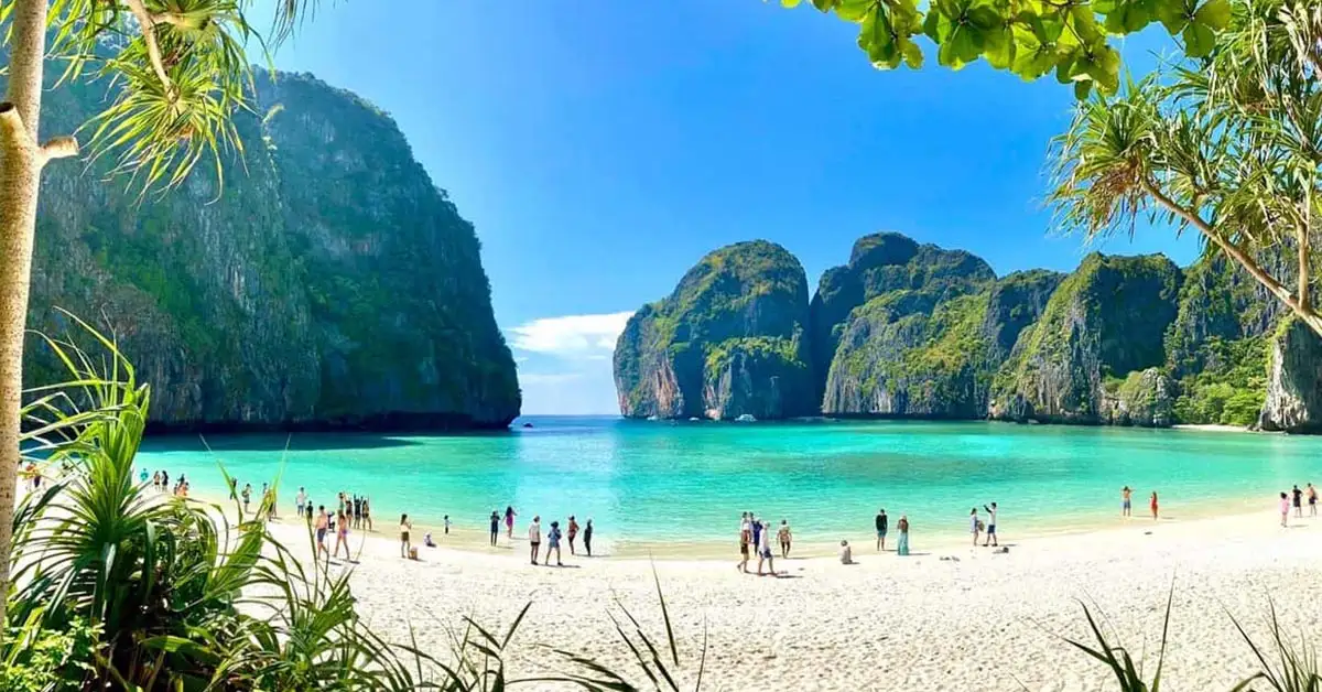 phi phi adalari