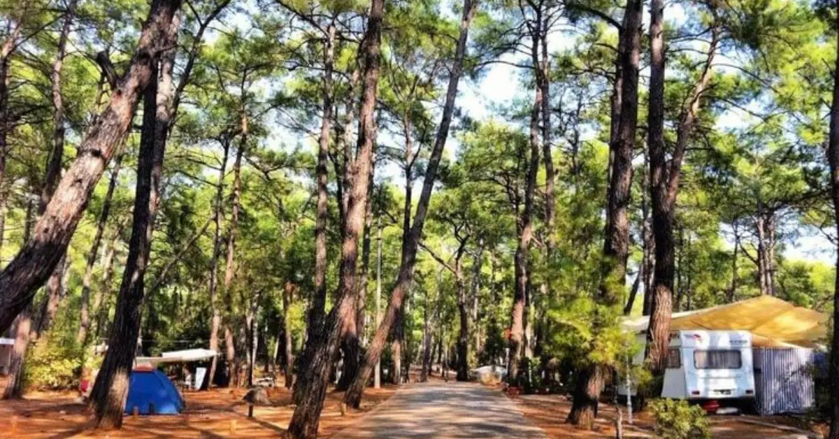 Akyaka Orman Kampı – Muğla
