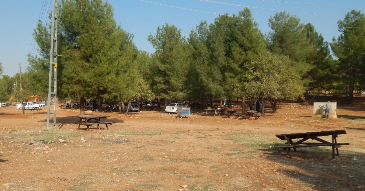 Karadağ Ormanı