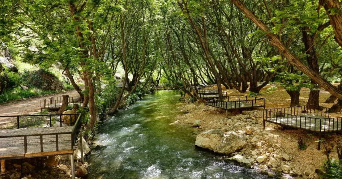 Su Gözü